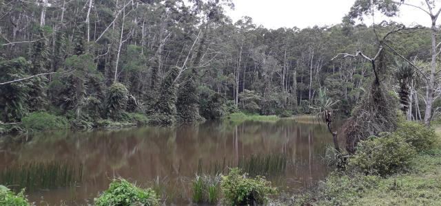 significant land